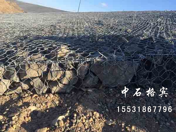 綠濱墊 綠濱墊