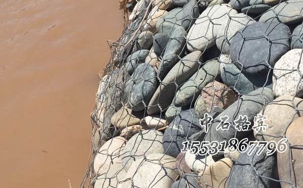 鍍高爾凡雷諾護墊 鍍高爾凡雷諾護墊