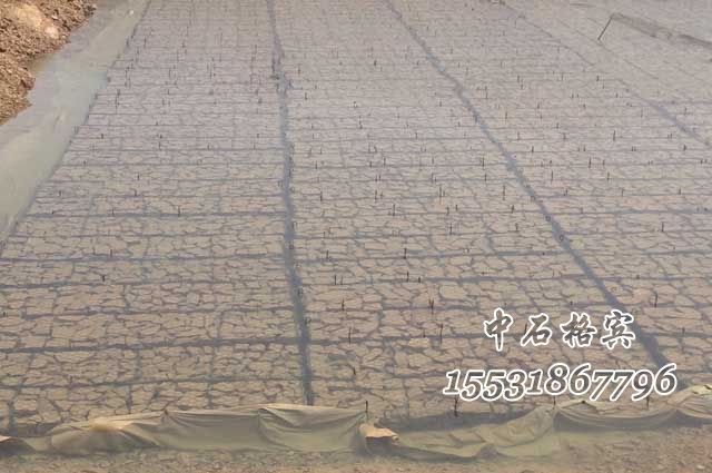 格賓網箱