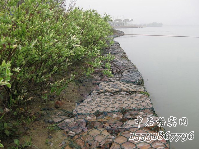 賓格籠 賓格籠